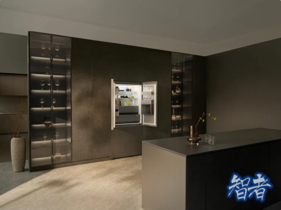 冰箱 的百年迭代：技术狂飙，保鲜停滞？-第5张图片.jpg