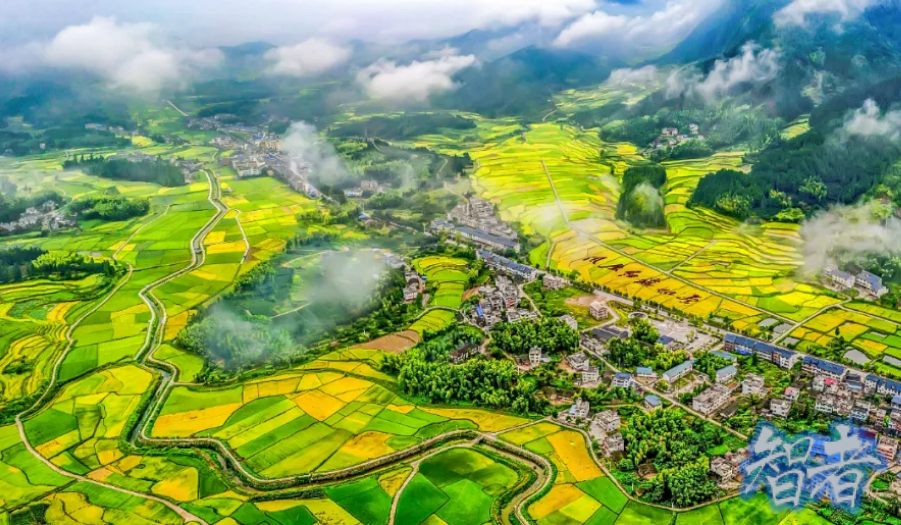 保险 助力高标准农田建设的实践探索-1.jpg